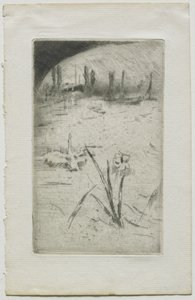 Svane og iris