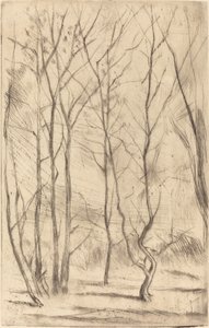 Dæmningsskoven af James Abbott McNeill Whistler
