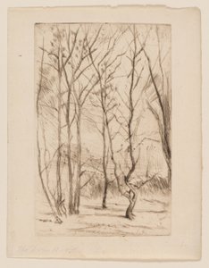 Dæmningsskoven af James Abbott McNeill Whistler