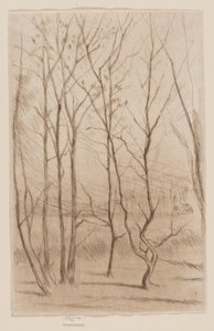 Dæmningsskoven af James Abbott McNeill Whistler