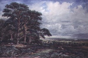 Bradgate Park nær Leicester, akvarel