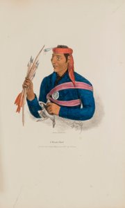 En Miami-høvding, fra The Aboriginal Portfolio
