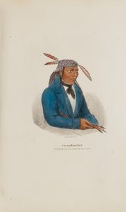 En ung Miami-høvding, fra The Aboriginal Portfolio
