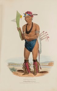 CUT-TAA-TAS-TIA; En berømt høvding fra Fox-stammen, fra The Aboriginal Portfolio af James Otto Lewis