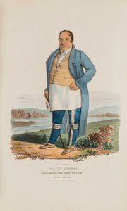 FRANCIS GODFROY; En berømt høvding blandt miamierne, fra The Aboriginal Portfolio af James Otto Lewis