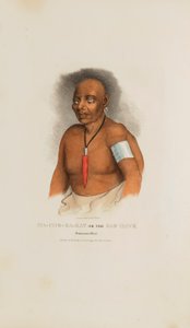 MA-CHE-KA-KAT eller den slemme høg; en Monomonie-høvding, fra The Aboriginal Portfolio af James Otto Lewis