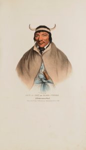 SUN-A-GET eller hårde tider; En Pottawatomie-høvding, fra The Aboriginal Portfolio af James Otto Lewis