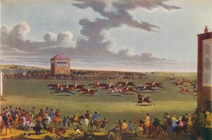 Newmarket Races, 1909. af James Pollard