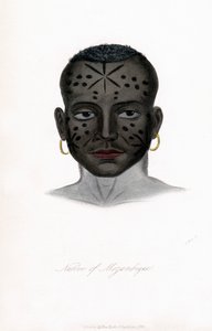 Født i Mozambique, c1850. af James Prichard