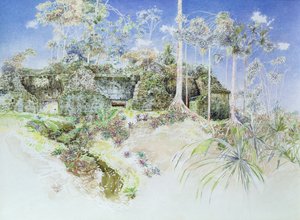 Ruined Temple, Tikal, Guatemala, 1984 (wc på papir) af James Reeve