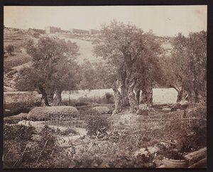 Getsemane [Jerusalem. Oliebjerget] af James Robertson