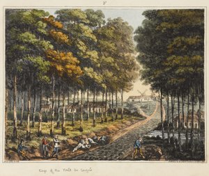 Edge of the Foret de Soignes, fra 
