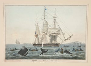 South Sea Whale Fishery