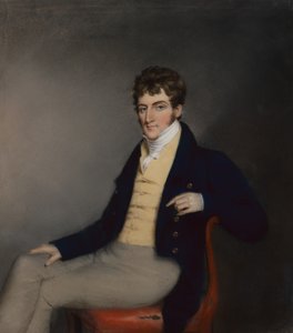 Portræt af en gentleman i en gul vest, ca. 1795 (pastel på papir) af James Sharples