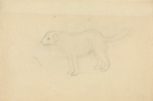 En hund af James Sowerby