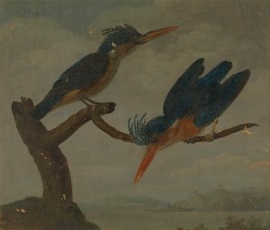 To isfugle ved siden af en sø af James Sowerby