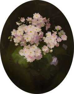 Primulas, 20. århundrede (olie på lærred) af James Stuart Park