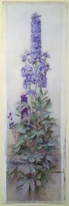 Delphiniums af James Valentine Jelley