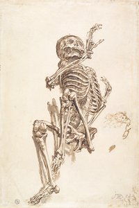 Et menneskeligt skelet (pen og blækvask og blyant på papir) (recto) af James Ward