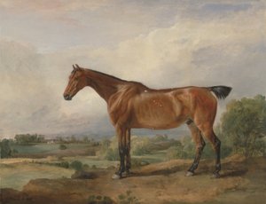 En jæger i et landskab af James Ward