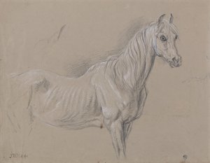 A Mare: muligvis en undersøgelse for 