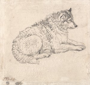 Polarhund, vendt mod højre af James Ward