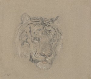 Hovedet af en tiger af James Ward