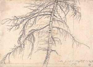 Lærketræ af James Ward