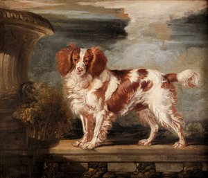 Portræt af Dash, en yndlings spaniel, ejendommen til Lady Frances Vane-Tempest af James Ward