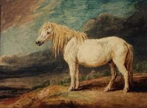 Shetlandspony af James Ward