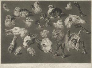 Studier fra naturen, 1807 af James Ward
