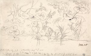 Studier af planter, 2. august 1815 af James Ward