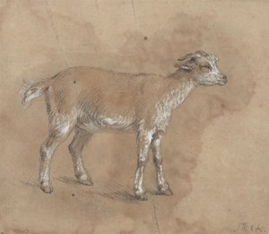 Studie af et barn af James Ward