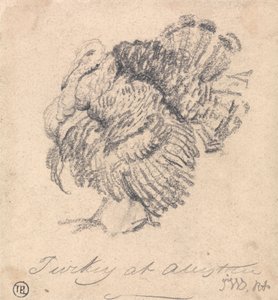 Studie af et Tyrkiet af James Ward