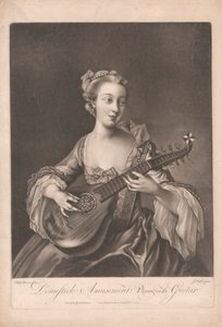 Domestick Amusement: At spille guitar
