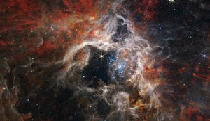 En kosmisk tarantel