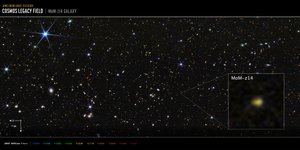 COSMOS-feltet: MoM-z14-galaksen (billede taget med NIRCam) af James Webb Space Telescope (NASA)