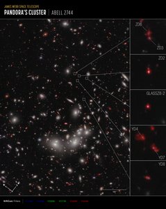 Galaxy Protocluster (NIRCam Compass Image) af James Webb Space Telescope (NASA)