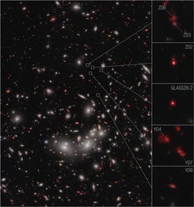 Galaxy Protocluster (NIRCam Image) af James Webb Space Telescope (NASA)
