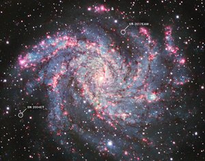 NGC 6946 (Kitt Peak National Observatory) af James Webb Space Telescope (NASA)
