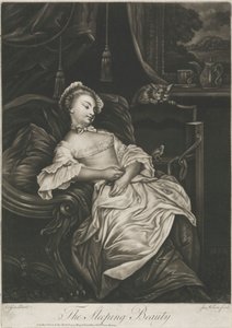 Tornerose af James Wilson