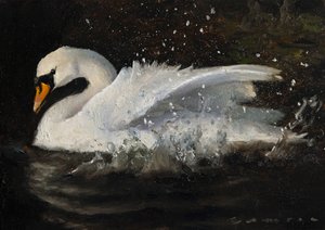 Den dansende svane