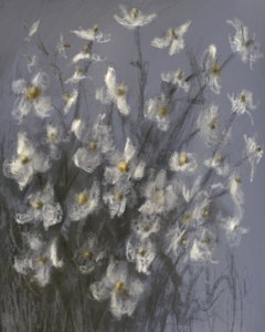 Drømmende hvide blomster af James Zamora