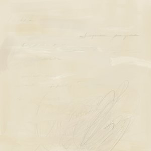 Bleg abstrakt skrift af James Zamora