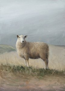 Hyrdefår