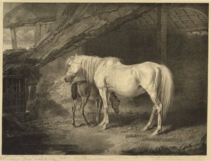 Primrose og Føl, fra Celebrated Horses, et sæt af fjorten væddeløbstryk udgivet af kunstneren, 1823-24 af James after Ward