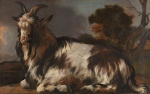 Geden ligger ned af Jan Baptist Weenix