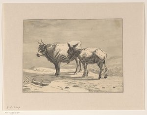 Tyr og et æsel af Jan Bedijs Tom