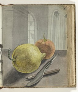Stilleben med frugter, kniv og blyant. af Jan Brandes
