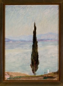 Cyprus. Fra en rejse til Konstantinopel af Jan Ciągliński